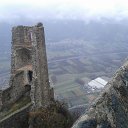 tor (53)
